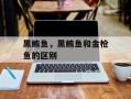 黑鲔鱼，黑鲔鱼和金枪鱼的区别