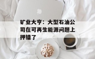 矿业大亨：大型石油公司在可再生能源问题上押错了