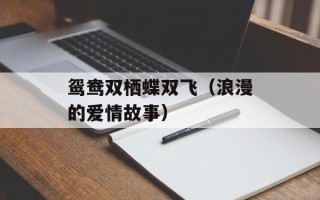 鸳鸯双栖蝶双飞（浪漫的爱情故事）