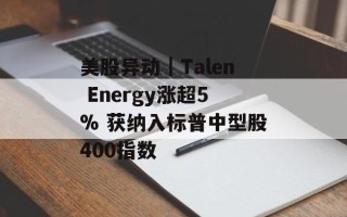美股异动｜Talen Energy涨超5% 获纳入标普中型股400指数