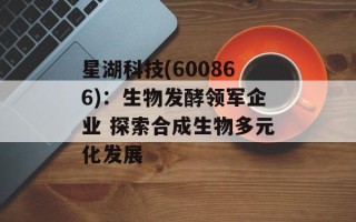 星湖科技(600866)：生物发酵领军企业 探索合成生物多元化发展
