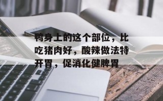 鸭身上的这个部位，比吃猪肉好，酸辣做法特开胃，促消化健脾胃