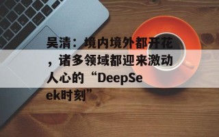 吴清：境内境外都开花，诸多领域都迎来激动人心的“DeepSeek时刻”
