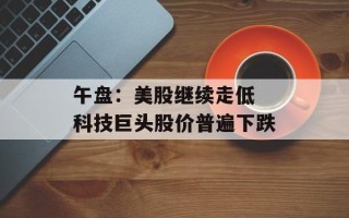 午盘：美股继续走低 科技巨头股价普遍下跌