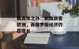 戴高乐之孙：制裁损害欧洲，而俄罗斯经济仍在增长