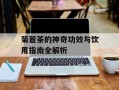 菊苣茶的神奇功效与饮用指南全解析