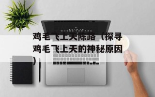 鸡毛飞上天陈路（探寻鸡毛飞上天的神秘原因）