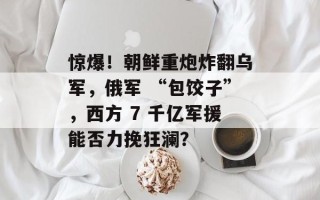 惊爆！朝鲜重炮炸翻乌军，俄军 “包饺子”，西方 7 千亿军援能否力挽狂澜？