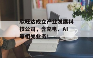 欣旺达成立产业发展科技公司，含充电、AI等相关业务！