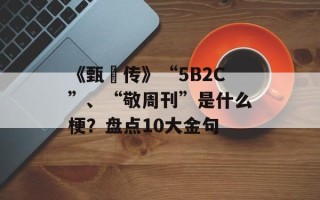 《甄嬛传》“5B2C”、“敬周刊”是什么梗？盘点10大金句