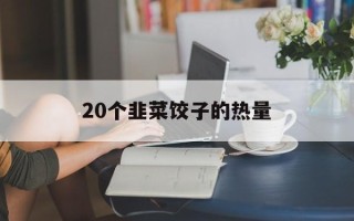 20个韭菜饺子的热量