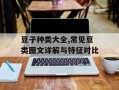 豆子种类大全,常见豆类图文详解与特征对比