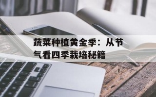 蔬菜种植黄金季：从节气看四季栽培秘籍