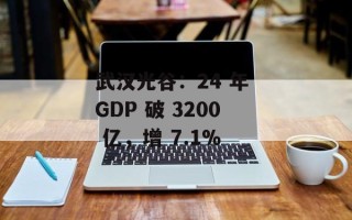 武汉光谷：24 年 GDP 破 3200 亿，增 7.1%