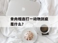 骨肉相连打一动物到底是什么？