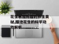 花生米加陈醋的养生奥秘,醋泡花生的科学功效解析