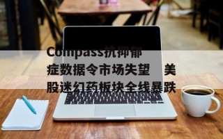 Compass抗抑郁症数据令市场失望　美股迷幻药板块全线暴跌