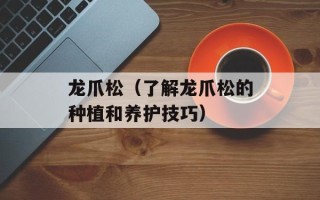 龙爪松（了解龙爪松的种植和养护技巧）