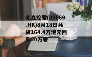 北森控股(09669.HK)8月18日耗资164.4万港元回购20万股