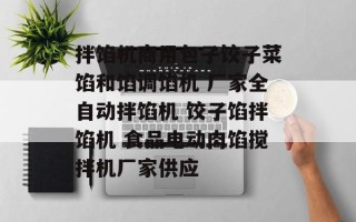 拌馅机商用包子饺子菜馅和馅调馅机 厂家全自动拌馅机 饺子馅拌馅机 食品电动肉馅搅拌机厂家供应