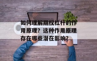 如何理解期权杠杆的作用原理？这种作用原理存在哪些潜在影响？