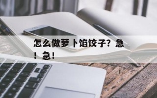 怎么做萝卜馅饺子？急！急！