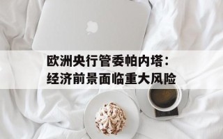 欧洲央行管委帕内塔：经济前景面临重大风险