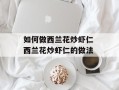 如何做西兰花炒虾仁 西兰花炒虾仁的做法