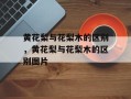 黄花梨与花梨木的区别，黄花梨与花梨木的区别图片