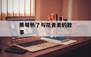 黑莓熟了与花青素的故事