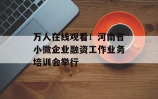 万人在线观看！河南省小微企业融资工作业务培训会举行