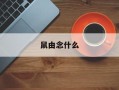 鼠由念什么