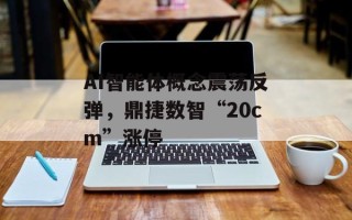 AI智能体概念震荡反弹，鼎捷数智“20cm”涨停