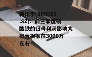 新洋丰(000902.SZ)：前三季度磷酸铁的归母利润影响大概亏损额在3000万左右