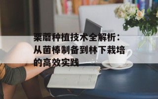 栗蘑种植技术全解析：从菌棒制备到林下栽培的高效实践
