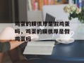 鸡蛋的膜很厚是假鸡蛋吗，鸡蛋的膜很厚是假鸡蛋吗