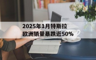 2025年1月特斯拉欧洲销量暴跌近50%