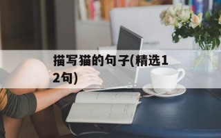 描写猫的句子(精选12句)