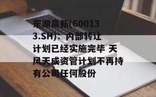 东湖高新(600133.SH)：内部转让计划已经实施完毕 天风天成资管计划不再持有公司任何股份