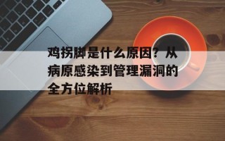 鸡拐脚是什么原因？从病原感染到管理漏洞的全方位解析