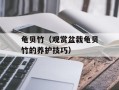 龟贝竹（观赏盆栽龟贝竹的养护技巧）