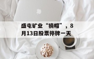 盛屯矿业“摘帽”，8月13日股票停牌一天