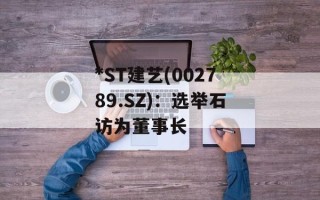*ST建艺(002789.SZ)：选举石访为董事长