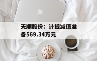 天顺股份：计提减值准备569.34万元