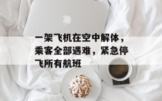 一架飞机在空中解体，乘客全部遇难，紧急停飞所有航班