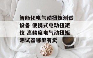 智能化电气动扭矩测试设备 便携式电动扭矩仪 高精度电气动扭矩测试器哪里有卖