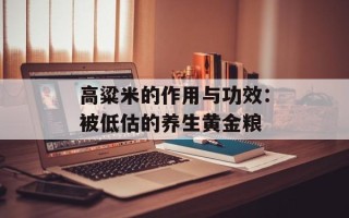 高粱米的作用与功效：被低估的养生黄金粮