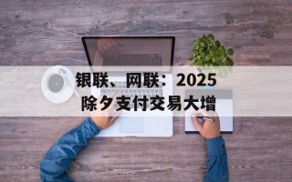 银联、网联：2025 除夕支付交易大增