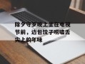 除夕守岁晚上坐在电视节前，边包饺子唠嗑舌尖上的年味