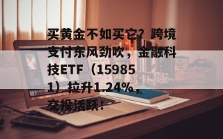 买黄金不如买它？跨境支付东风劲吹，金融科技ETF（159851）拉升1.24%，交投活跃！